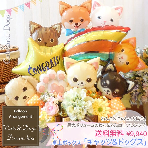 わんこにゃんこ、犬の形のバルーンがかわいい