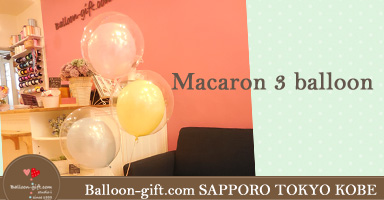 新作マカロン３個セット(仮）