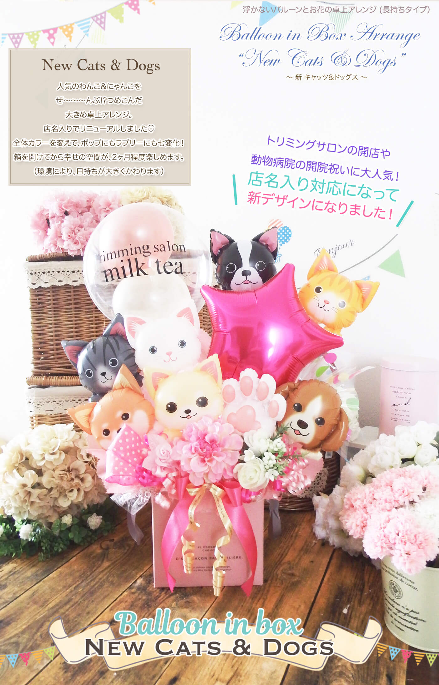 キャッツ・アンド・ドッグス