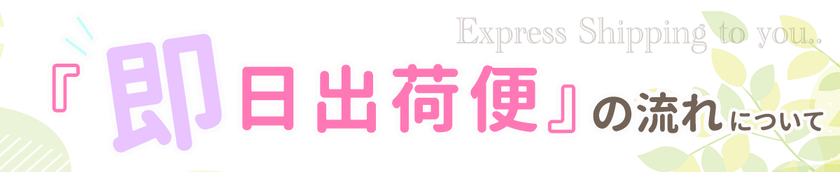 即日出荷便の流れについて