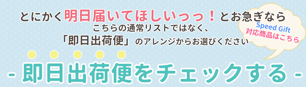 お急ぎなら即日出荷便を選んでね