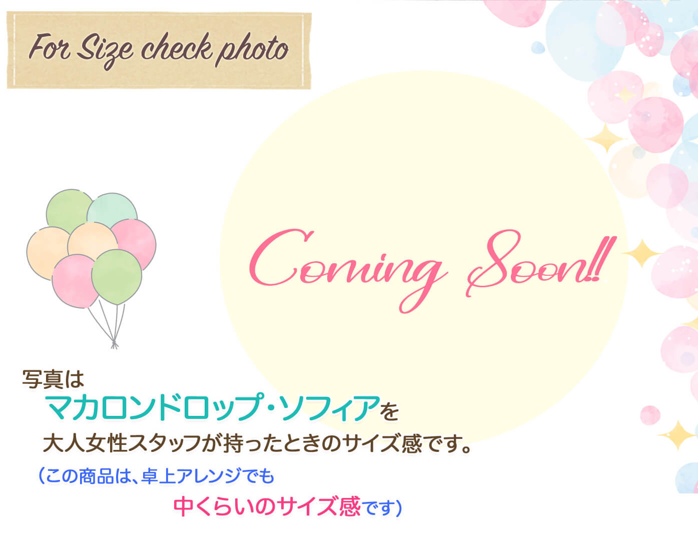 マカロンドロップ・ソフィアの詳しいサイズ感