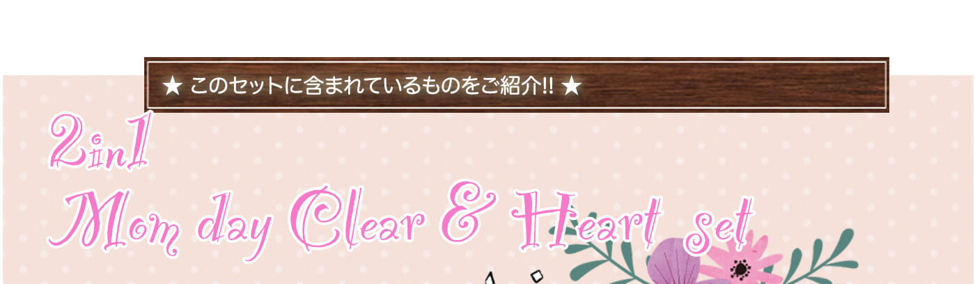 このセットのサイズ感について