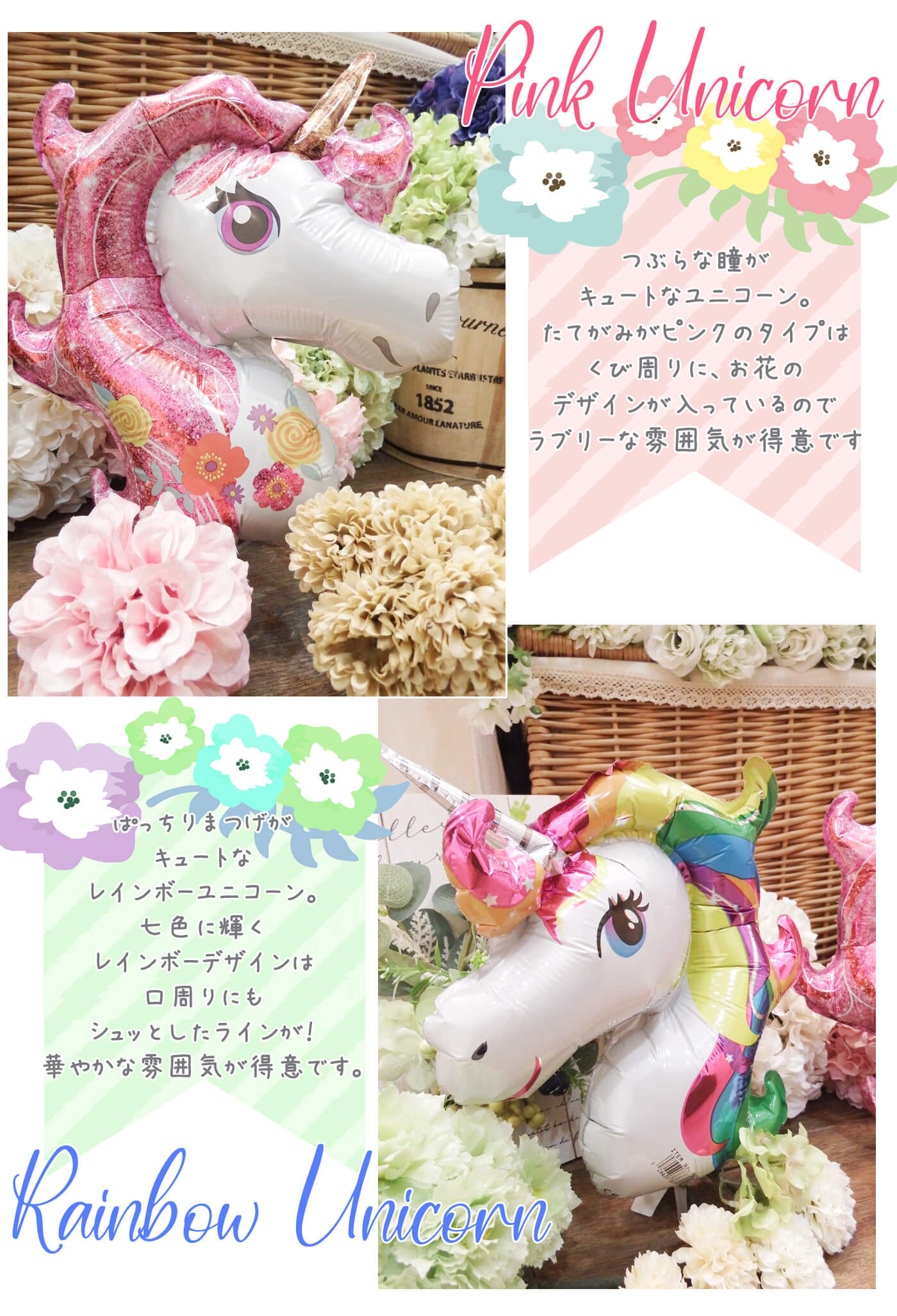 持っている写真その２